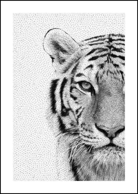 Eye of a Tiger