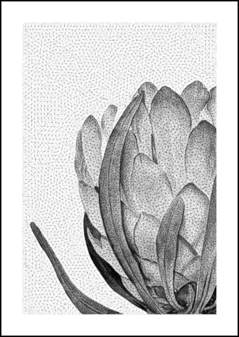 Unfolding Strength