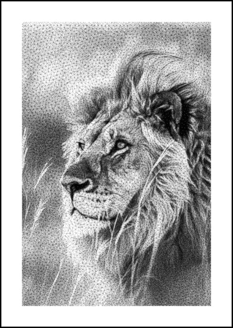 Heart of the Savannah