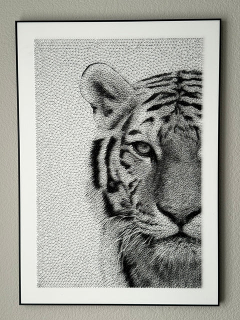 Eye of a Tiger