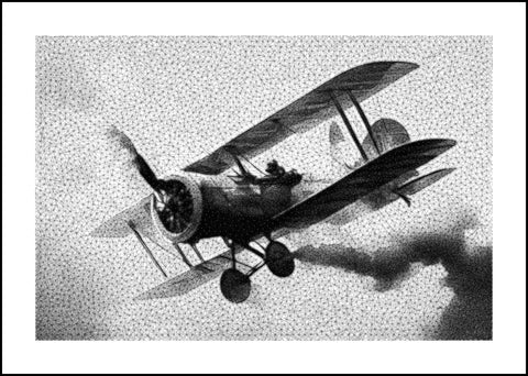 Wings of Freedom